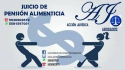 PENSIÓN ALIMENTICIA
