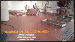 LOSETA ANTIACIDA