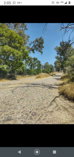 Vendo o cambio terreno por carro 1000 m2