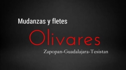 Mudanzas Cuidadosas y Económicas Zapopan-Tesistan-Guadalajara