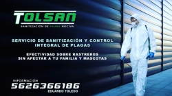 Control Integral De Plagas