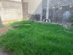 Casa en pedregal de santo domingo coyoacan