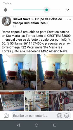 Médico Veterinario Zootecnista