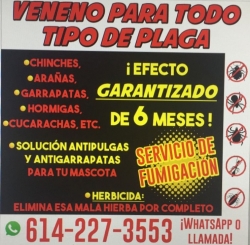 Servicio de fumigación y venta de veneno