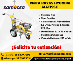Pinta rayas 