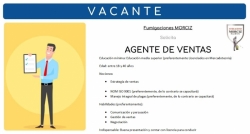 Agente de ventas