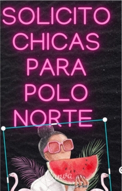 EL POLO NORTE