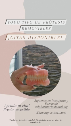 Prótesis dental 