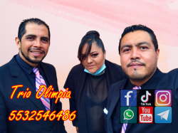 trios musicales en Alfonso XIII cdmx