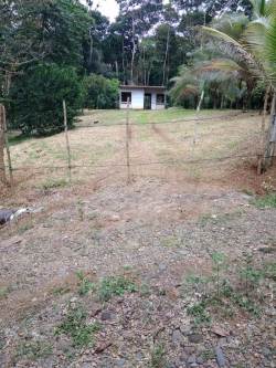 Lote Sarapiquí 5536 m² en venta 