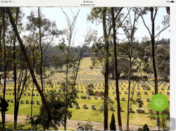 Venta de Lote y servicios funerarios Gayosso