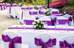 Renta de mesas, sillas, mantelería, decoración, carpas, brincolines, inflables