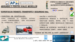 PERITOS EN VEHÍCULOS-AVALÚOS Y REVISIÓN (COMPRAVENTA, DAÑOS, ETC.):